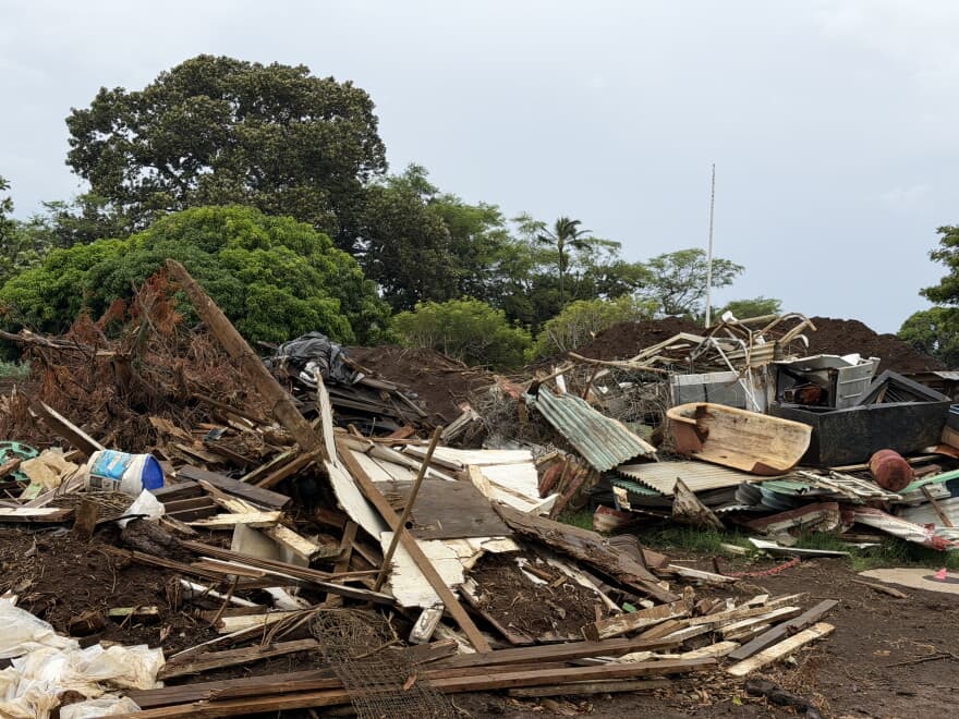 Help Hawaii Recover From Hurricane Nolo's Flooding and Winds